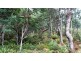 Lot 3, 318 Wiiteena Road, Jackeys Marsh TAS 7304