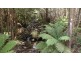Lot 3, 318 Wiiteena Road, Jackeys Marsh TAS 7304