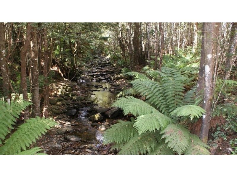 Lot 3, 318 Wiiteena Road, Jackeys Marsh TAS 7304