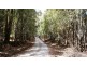 Lot 3, 318 Wiiteena Road, Jackeys Marsh TAS 7304