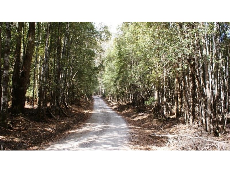 Lot 3, 318 Wiiteena Road, Jackeys Marsh TAS 7304