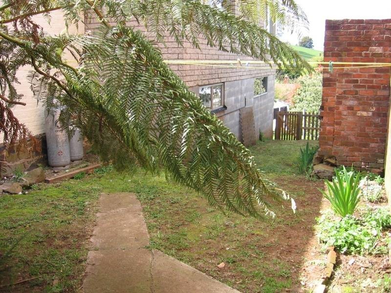 2/17 West Barrack St, Deloraine TAS 7304