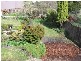 23a East Church Street, Deloraine TAS 7304