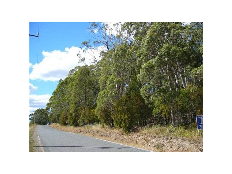 7 Parkham Road, Parkham TAS 7304