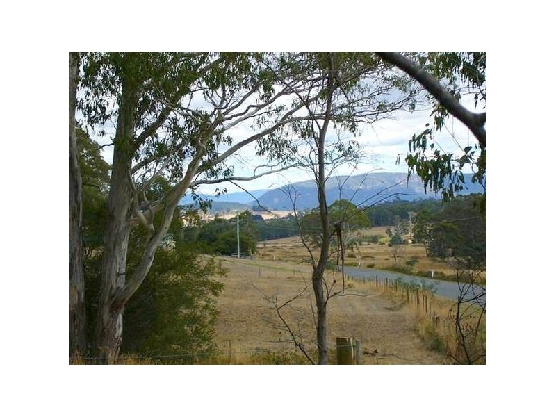 7 Parkham Road, Parkham TAS 7304