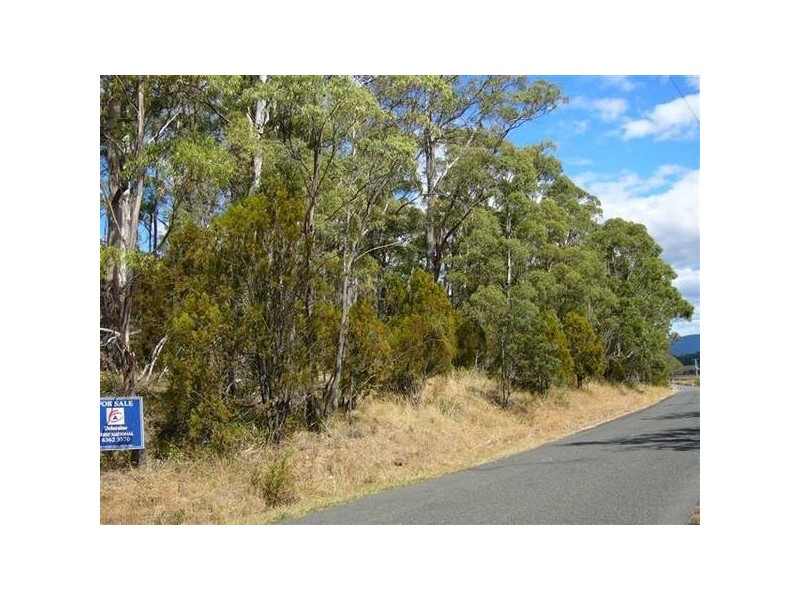 7 Parkham Road, Parkham TAS 7304