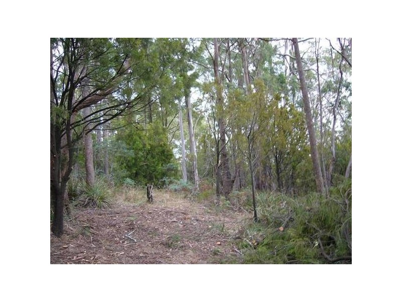 7 Parkham Road, Parkham TAS 7304