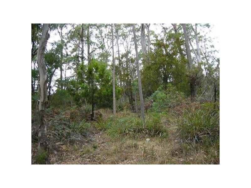 7 Parkham Road, Parkham TAS 7304