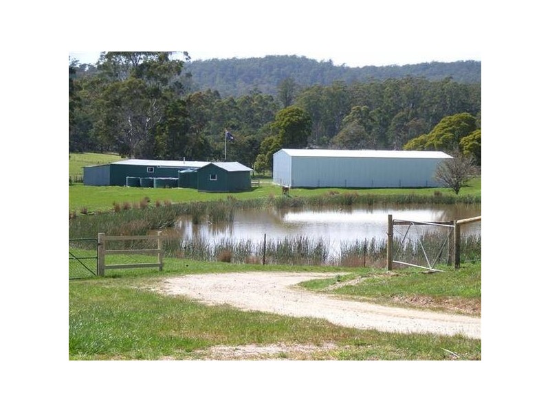 338 Maloneys Road, Parkham TAS 7304