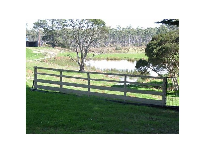 338 Maloneys Road, Parkham TAS 7304