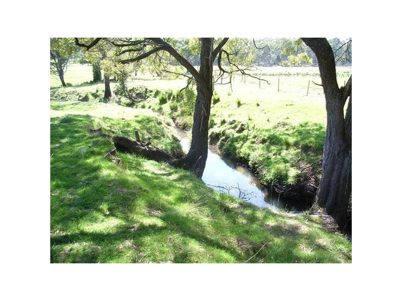 338 Maloneys Road, Parkham TAS 7304