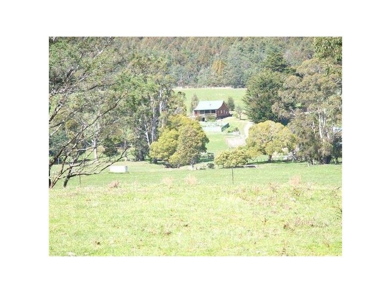 338 Maloneys Road, Parkham TAS 7304