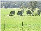 338 Maloneys Road, Parkham TAS 7304