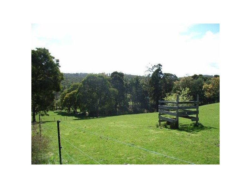 338 Maloneys Road, Parkham TAS 7304