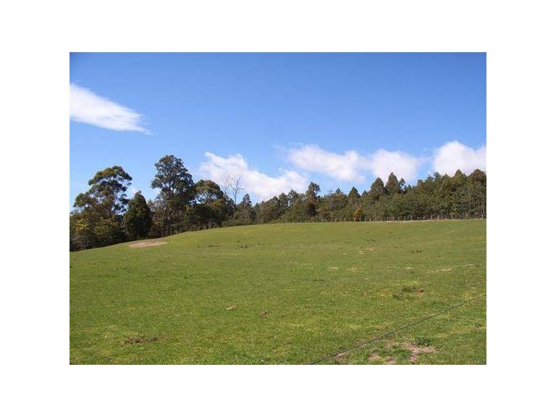 338 Maloneys Road, Parkham TAS 7304
