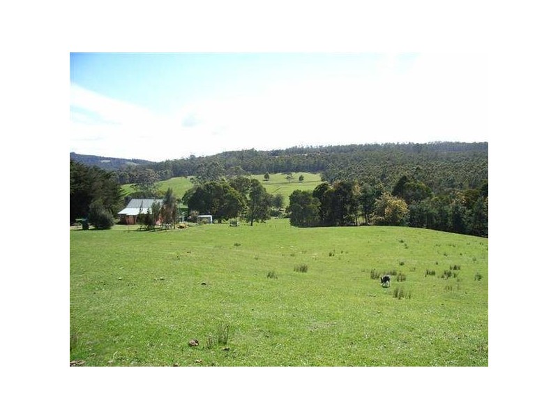 338 Maloneys Road, Parkham TAS 7304