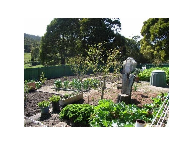 Maloneys Road, Parkham TAS 7304
