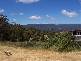 562 Weegena Road, Weegena TAS 7304