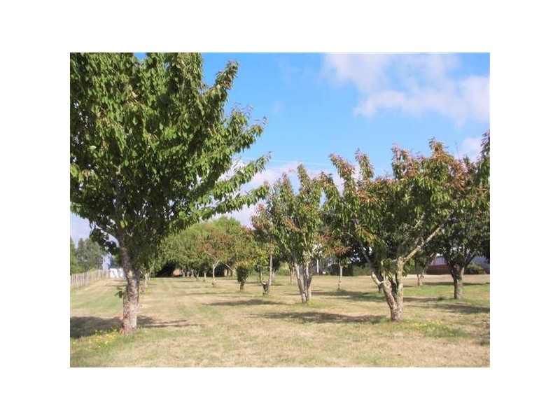 1123 Weegena Road, Dunorlan TAS 7304