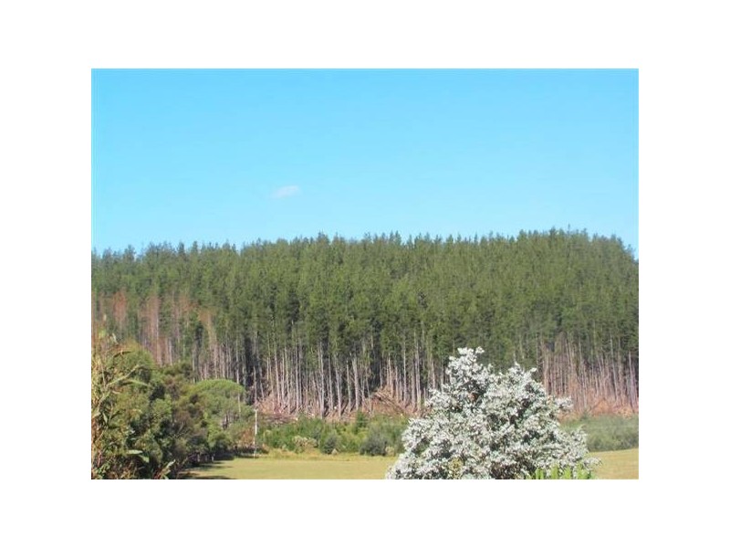 Caveside Road, Caveside TAS 7304