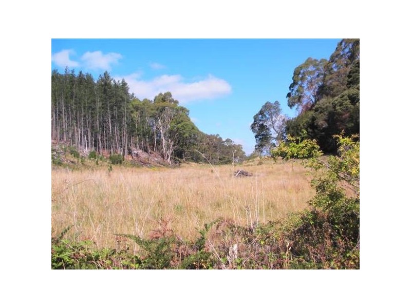 Caveside Road, Caveside TAS 7304