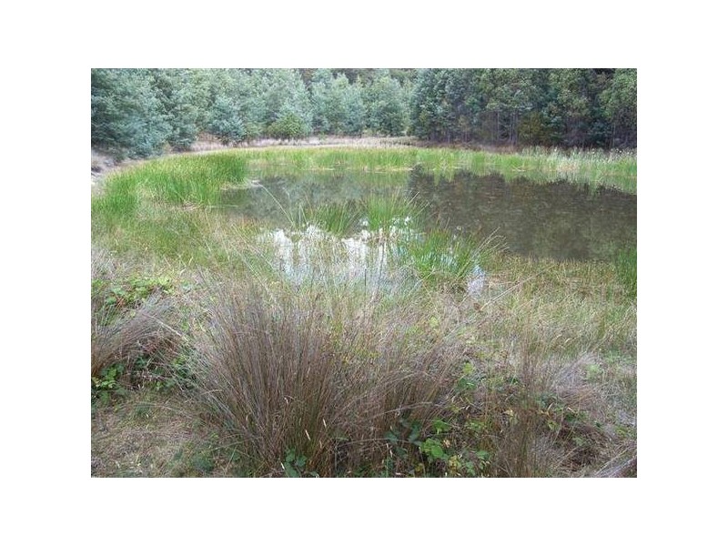 Highland Lakes Road, Golden Valley TAS 7304