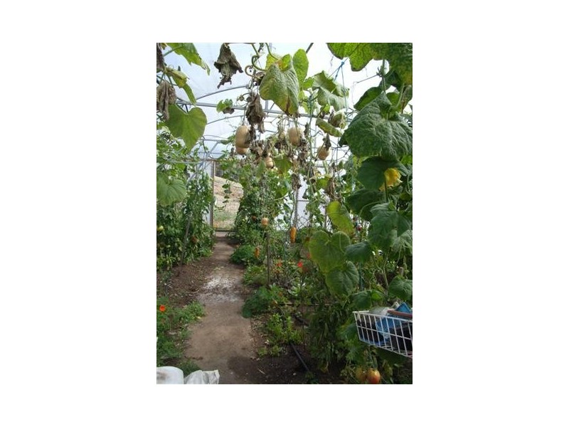 14634 Highland Lakes Road, Deloraine TAS 7304