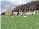 14634 Highland Lakes Road, Deloraine TAS 7304
