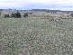 354 Parkham Road, Parkham TAS 7304