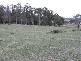 354 Parkham Road, Parkham TAS 7304