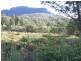 40 Youds Road, Golden Valley TAS 7304