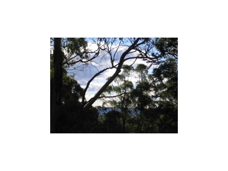 40 Youds Road, Golden Valley TAS 7304