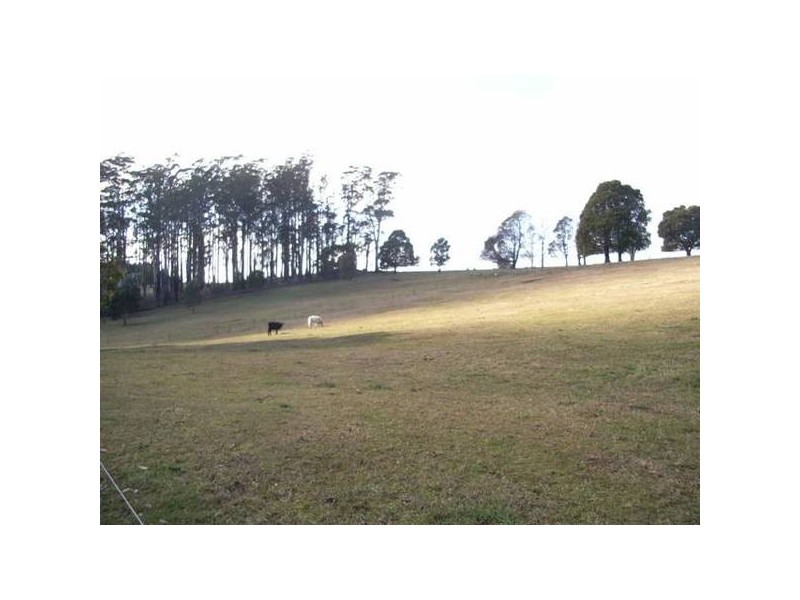 94 Mitchells Road, Deloraine TAS 7304