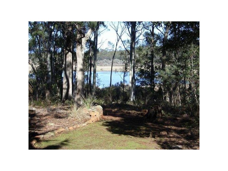 49 Farrells Road, Reedy Marsh TAS 7304