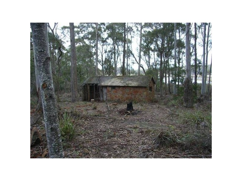 49 Farrells Road, Reedy Marsh TAS 7304
