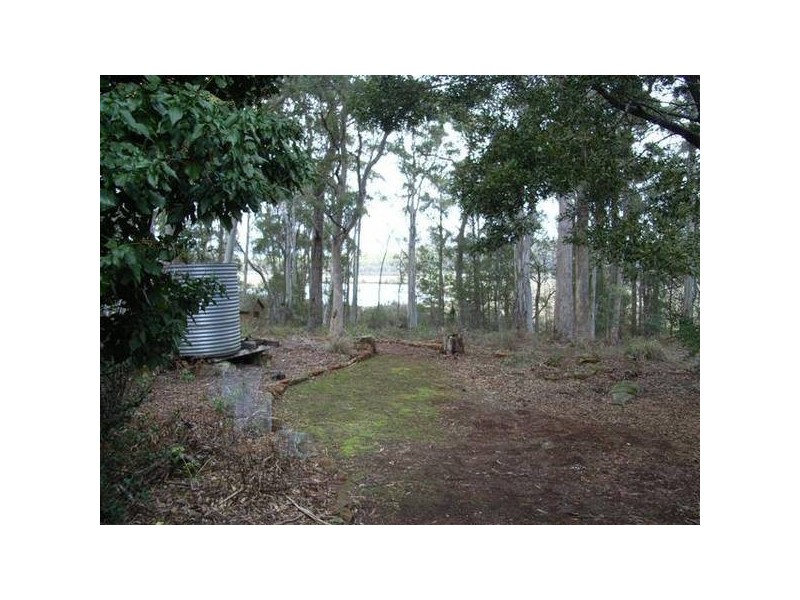 49 Farrells Road, Reedy Marsh TAS 7304