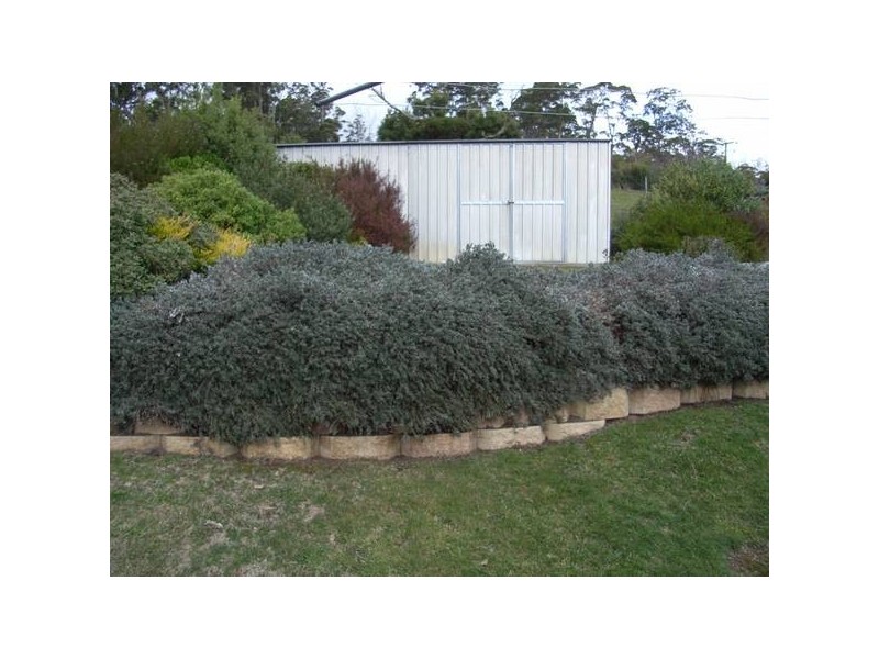 Jones Street South, Chudleigh TAS 7304