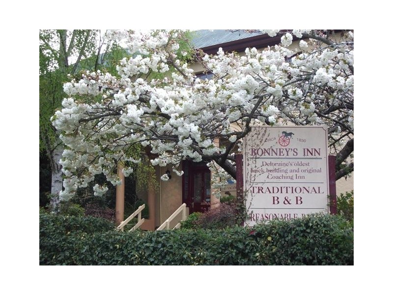 19 West Parade, Deloraine TAS 7304