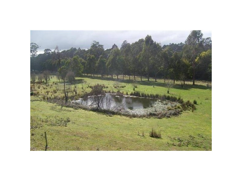 126 Longridge Road, Deloraine TAS 7304