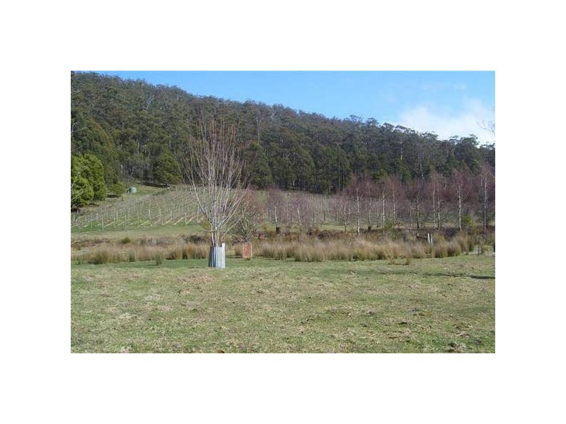 126 Longridge Road, Deloraine TAS 7304