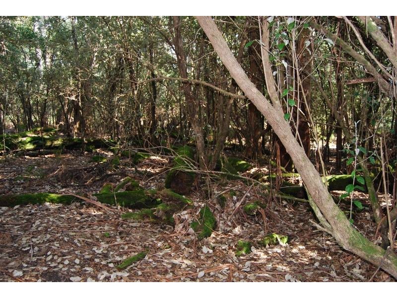 00 Western Creek Road, Western Creek TAS 7304