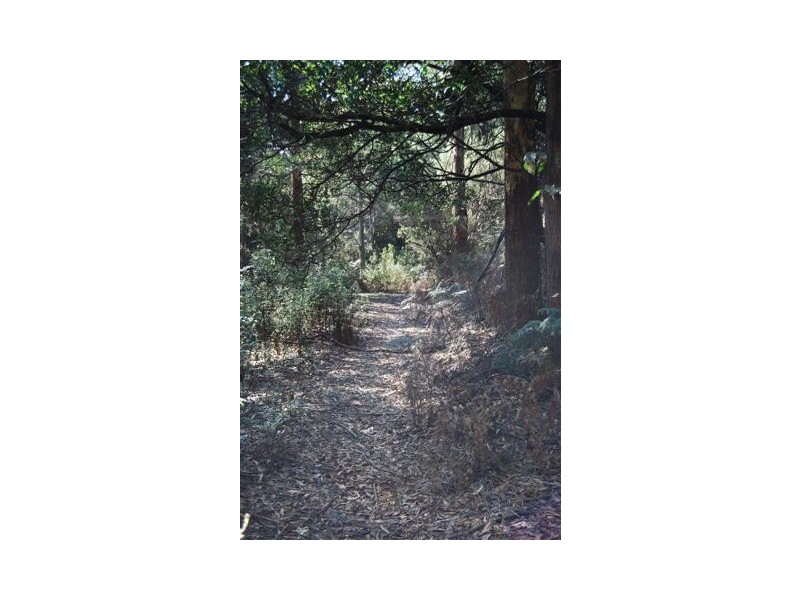 00 Western Creek Road, Western Creek TAS 7304