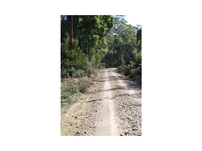 00 Western Creek Road, Western Creek TAS 7304