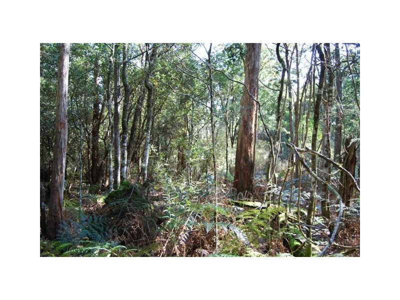 00 Western Creek Road, Western Creek TAS 7304
