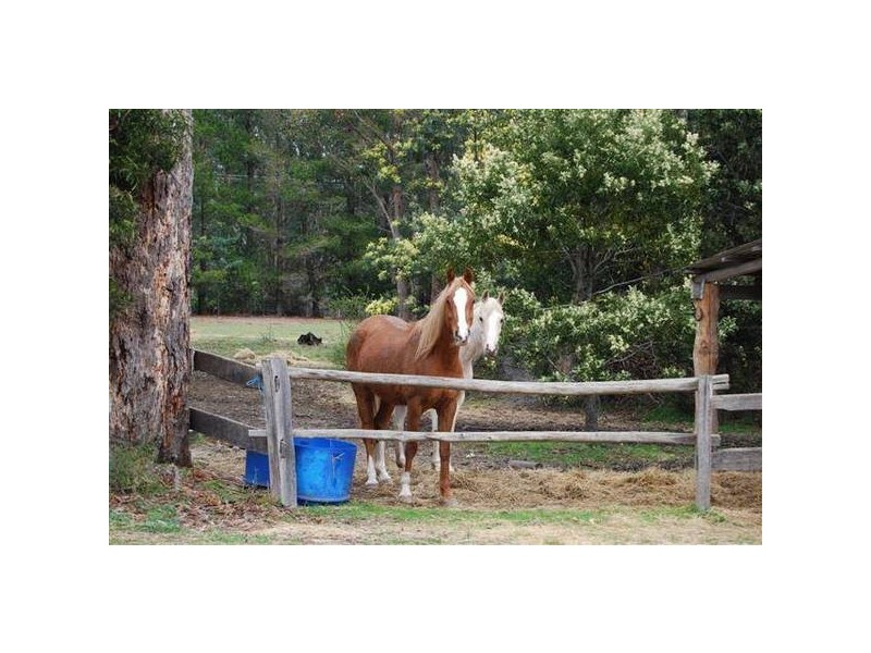 13504 Lake Highway, Golden Valley TAS 7304