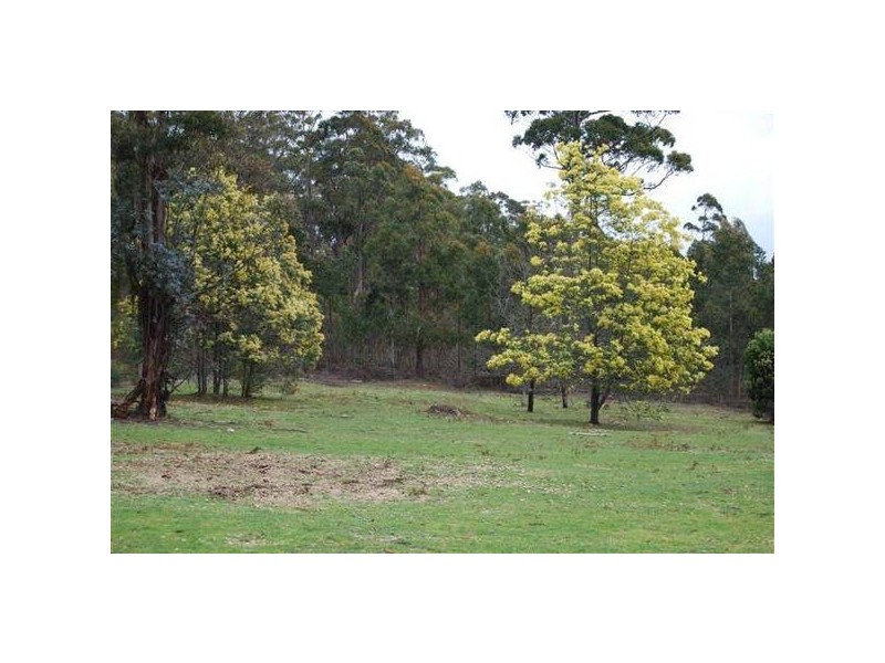 13504 Lake Highway, Golden Valley TAS 7304