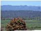 131 Emu Bay Road, Deloraine TAS 7304
