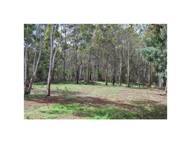 5924 Bass Highway, Elizabeth Town TAS 7304