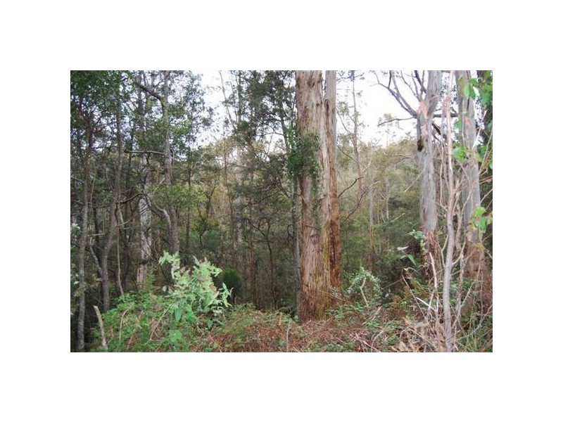 2 Weetah Road, Weetah TAS 7304