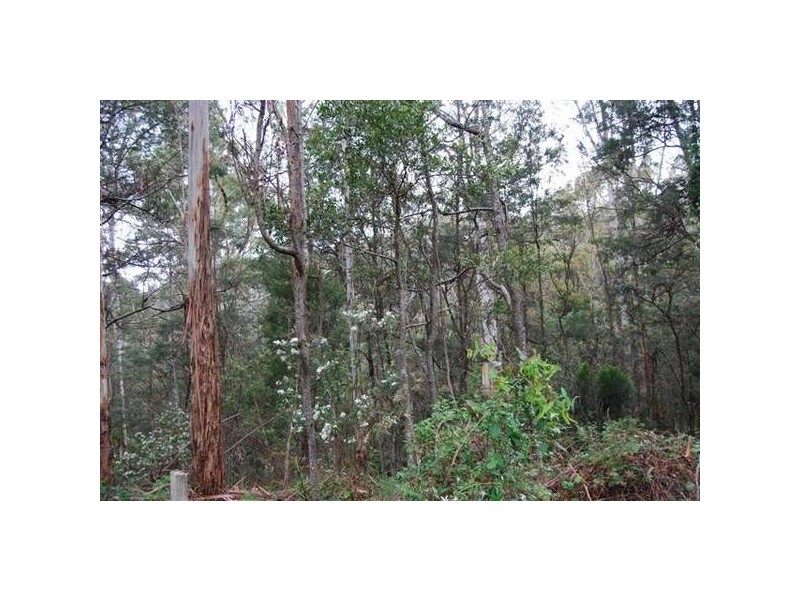 2 Weetah Road, Weetah TAS 7304